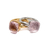 Anillo Wilda - comprar en línea