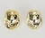 Arete Caeli
