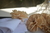 Porta guardanapo buriti - comprar online