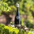 Segura Viudas Reserva Heredad - comprar online