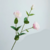 Lisianthus Hidratante buquê com 05 ramos com 3 cabeças na internet