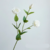 Lisianthus Hidratante buquê com 05 ramos com 3 cabeças