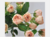 Imagem do 4 peças/lote hidratante 7 cabeças orvalho lótus rosa flores artificiais casa