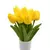 Tulipas buquês de 5/10/20 pçs - comprar online