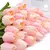 Tulipas buquês de 5/10/20 pçs - comprar online