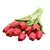 Tulipas buquês de 5/10/20 pçs