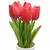 Tulipas buquês de 5/10/20 pçs - Casa Tok VIP