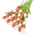 Tulipas buquês de 5/10/20 pçs - comprar online