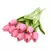 Tulipas buquês de 5/10/20 pçs