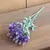 Imagem do Lavanda