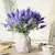 Lavanda