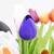Tulipas buquês de 5/10/20 pçs - loja online