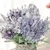 Lavanda - loja online