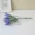 Lavanda - comprar online