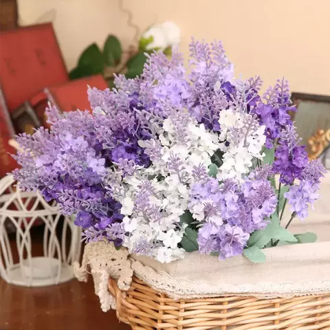 Lavanda
