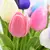 Tulipas buquês de 5/10/20 pçs - Casa Tok VIP