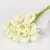 Calla Lírio Artificial 10 pçs
