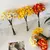 Buque Narciso - comprar online