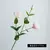 Lisianthus Hidratante buquê com 05 ramos com 3 cabeças - loja online
