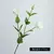 Lisianthus Hidratante buquê com 05 ramos com 3 cabeças na internet