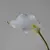Calla Lírio buquê com 05 cabeças
