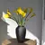 Imagem do Calla Lírio buquê com 05 cabeças