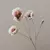 Papoula 65cm - loja online