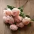Buquês rosas 10 cabeças - loja online