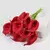 Calla Lírio Artificial 10 pçs - comprar online