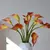 Calla Lírio buquê com 05 cabeças - loja online