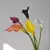 Calla Lírio buquê com 05 cabeças - Casa Tok VIP
