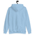 Image of Recent Program - Unisex Hoodie