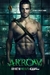 Arrow TEMPORADA 1 - comprar en línea