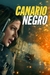 Canario negro (2024) - comprar en línea