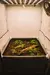 Kit Completo Living Soil - Bunker 200L (75x75cm) en internet