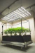 Kit Completo Living Soil - Bunker 700L (195x95cm) - tienda online