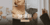 Imagem do banner rotativo Allure Mix