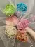 Rice Flower - Preservado