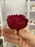 Garden Rose Premium - Preservada - loja online