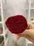 Garden Rose Premium - Preservada - Eterna Flora | Flores Preservadas