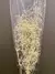 Million Stars (Mini Gypsophila) - Preservado na internet