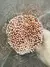 Rice Flower - Preservado - comprar online