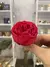 Garden Rose Premium - Preservada na internet