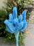 Flor de Alpiste - Desidratado - comprar online