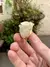Imagem do Rosa Mini - Preservada