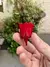 Rosa Mini - Preservada - comprar online