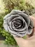 Rosa Premium - Preservada - comprar online