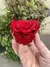 Rosa Standard - Preservada - comprar online