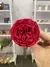 Garden Rose Premium - Preservada