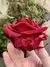Rosa Premium - Preservada - comprar online